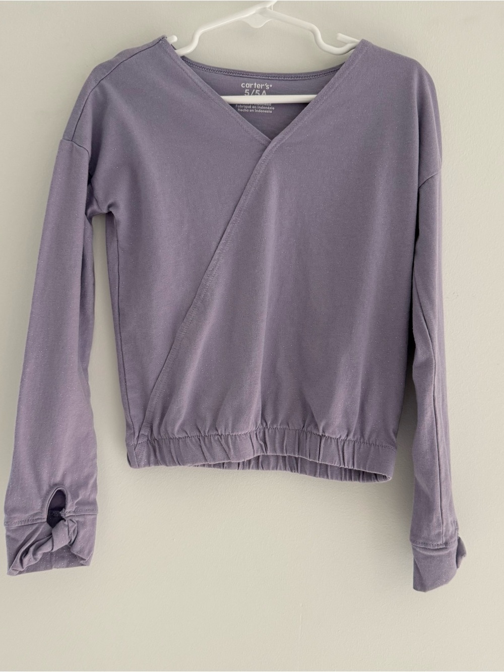 Sparkly purple long sleeve